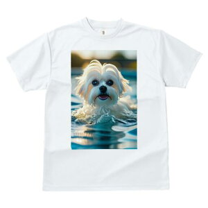 }`[Y TVc fB[X t@  t  vg JWA 킢 lԗp h ̃fUC ʔ  }`[Y v[