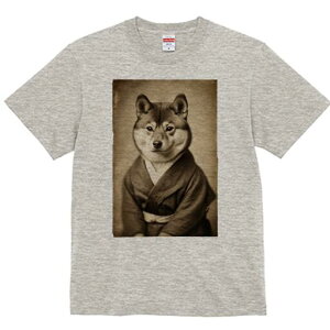 Č TVc fB[X t@  t  vg JWA 킢 lԗp h ̃fUC ʔ  Č