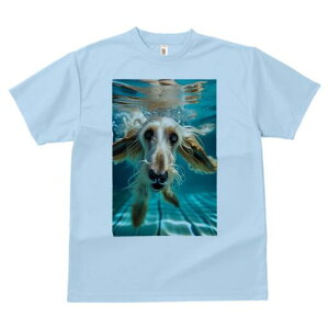 AtKnEh TVc fB[X t@  t  vg JWA 킢 lԗp h ̃fUC ʔ  AtKnEh v[