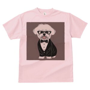 }`[Y TVc Y LbY t@  t  vg JWA 킢 lԗp h ̃fUC ʔ ^LV[h }`[Y lN^C Kl