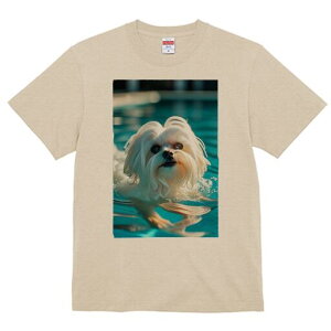 }`[Y TVc fB[X t@  t  vg JWA 킢 lԗp h ̃fUC ʔ  }`[Y v[