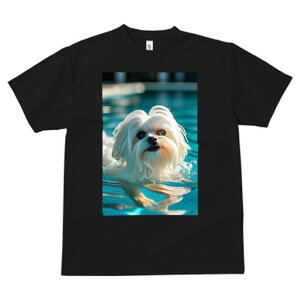 }`[Y TVc fB[X t@  t  vg JWA 킢 lԗp h ̃fUC ʔ  }`[Y v[