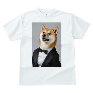 Č TVc fB[X t@  t  vg JWA 킢 lԗp h ̃fUC ʔ ^LV[h Č lN^C tH[}EFA