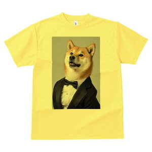 Č TVc fB[X t@  t  vg JWA 킢 lԗp h ̃fUC ʔ ^LV[h Č lN^C tH[}EFA