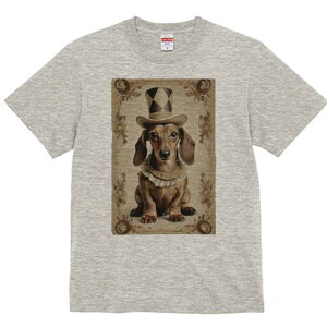 _bNXth TVc fB[X t@  t  vg JWA 킢 lԗp h ̃fUC ʔ Xq _bNXth T[JX ݏ t[