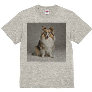 VFbghV[vhbO TVc Y LbY t@  t  vg JWA 킢 lԗp h ̃fUC ʔ Kl VFbghV[vhbO