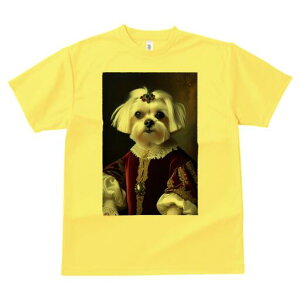 }`[Y TVc fB[X t@  t  vg JWA 킢 lԗp h ̃fUC ʔ  }`[Y  hX ߑ