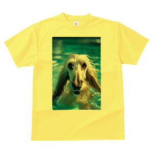 AtKnEh TVc fB[X t@  t  vg JWA 킢 lԗp h ̃fUC ʔ  AtKnEh v[