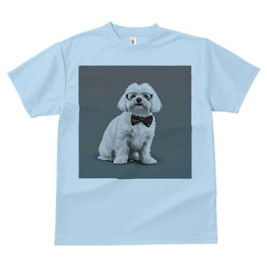 }`[Y TVc fB[X t@  t  vg JWA 킢 lԗp h ̃fUC ʔ lN^C }`[Y ዾ