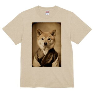 Č TVc fB[X t@  t  vg JWA 킢 lԗp h ̃fUC ʔ  Č g Be[W |[g[g