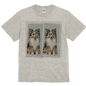 VFbghV[vhbO TVc Y LbY t@  t  vg JWA 킢 lԗp h ̃fUC ʔ Kl VFbghV[vhbO