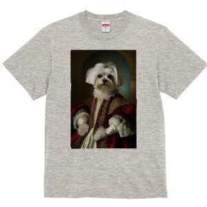 }`[Y TVc fB[X t@  t  vg JWA 킢 lԗp h ̃fUC ʔ ё }`[Y  hX ߑ