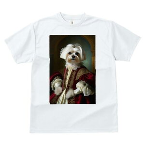 }`[Y TVc fB[X t@  t  vg JWA 킢 lԗp h ̃fUC ʔ ё }`[Y  hX ߑ