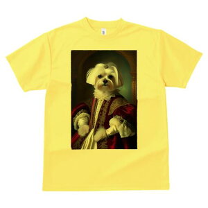 }`[Y TVc fB[X t@  t  vg JWA 킢 lԗp h ̃fUC ʔ ё }`[Y  hX ߑ