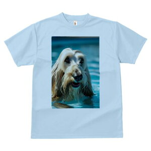 AtKnEh TVc fB[X t@  t  vg JWA 킢 lԗp h ̃fUC ʔ  AtKnEh v[