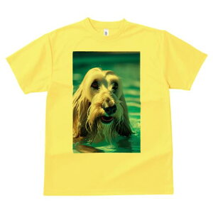 AtKnEh TVc fB[X t@  t  vg JWA 킢 lԗp h ̃fUC ʔ  AtKnEh v[