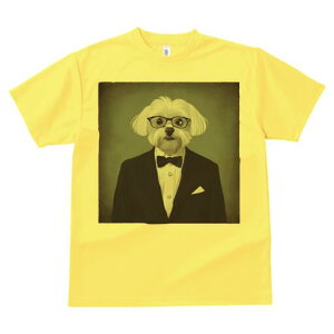 }`[Y TVc fB[X t@  t  vg JWA 킢 lԗp h ̃fUC ʔ ^LV[h }`[Y lN^C ዾ |Pbg`[t