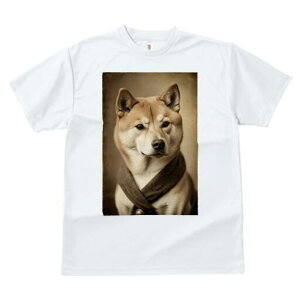 Č TVc fB[X t@  t  vg JWA 킢 lԗp h ̃fUC ʔ XJ[t Č