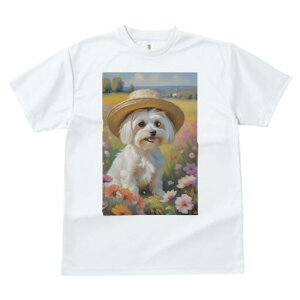 }`[Y TVc fB[X t@  t  vg JWA 킢 lԗp h ̃fUC ʔ Xq }`[Y   i