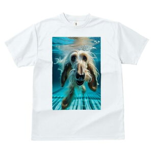 AtKnEh TVc fB[X t@  t  vg JWA 킢 lԗp h ̃fUC ʔ  AtKnEh 