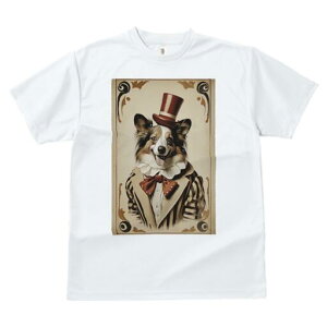 {[_[R[ TVc fB[X t@  t  vg JWA 킢 lԗp h ̃fUC ʔ Xq {[_[R[ lN^C T[JX