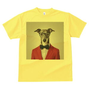 C^AO[nEh TVc Y LbY t@  t  vg JWA 킢 lԗp h ̃fUC ʔ Kl C^AO[nEh lN