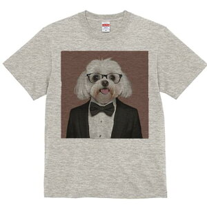 }`[Y TVc fB[X t@  t  vg JWA 킢 lԗp h ̃fUC ʔ lN^C }`[Y X[c Kl