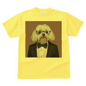 }`[Y TVc fB[X t@  t  vg JWA 킢 lԗp h ̃fUC ʔ lN^C }`[Y X[c Kl