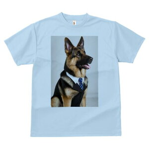 W[}VFp[h TVc fB[X t@  t  vg JWA 킢 lԗp h ̃fUC ʔ X[c W[}VFp[h lN^C CV