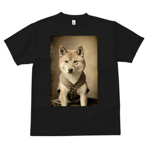 Č TVc fB[X t@  t  vg JWA 킢 lԗp h ̃fUC ʔ g Č Be[W 