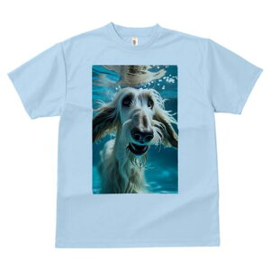 AtKnEh TVc fB[X t@  t  vg JWA 킢 lԗp h ̃fUC ʔ  AtKnEh 