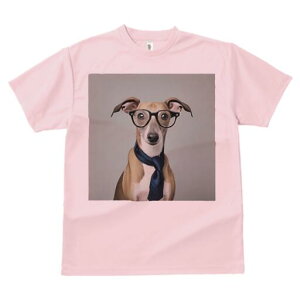 C^AO[nEh TVc Y LbY t@  t  vg JWA 킢 lԗp h ̃fUC ʔ Kl C^AO[nEh lN^