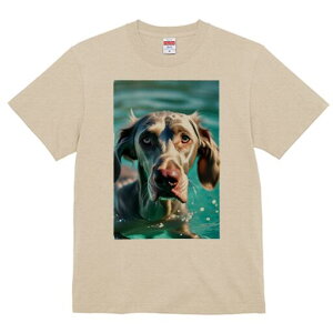 C}i[ TVc fB[X t@  t  vg JWA 킢 lԗp h ̃fUC ʔ  C}i[  Ԃ