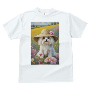 }`[Y TVc fB[X t@  t  vg JWA 킢 lԗp h ̃fUC ʔ Xq }`[Y   