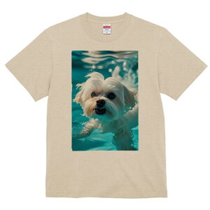 }`[Y TVc fB[X t@  t  vg JWA 킢 lԗp h ̃fUC ʔ  }`[Y 