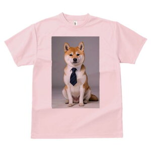 Č TVc fB[X t@  t  vg JWA 킢 lԗp h ̃fUC ʔ lN^C Č rWlX