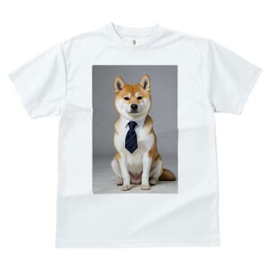 Č TVc fB[X t@  t  vg JWA 킢 lԗp h ̃fUC ʔ lN^C Č rWlX