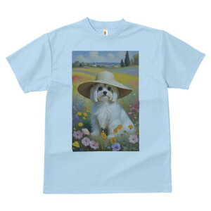 }`[Y TVc fB[X t@  t  vg JWA 킢 lԗp h ̃fUC ʔ Xq }`[Y Ԕ i