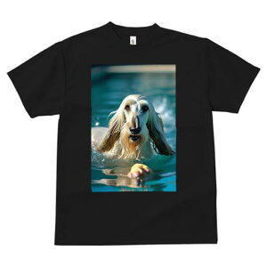 AtKnEh TVc fB[X t@  t  vg JWA 킢 lԗp h ̃fUC ʔ  AtKnEh v[