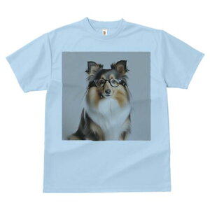 VFbghV[vhbO TVc fB[X t@  t  vg JWA 킢 lԗp h ̃fUC ʔ Kl VFbghV[vhbO