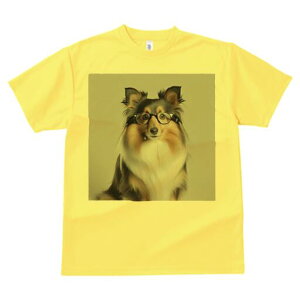 VFbghV[vhbO TVc fB[X t@  t  vg JWA 킢 lԗp h ̃fUC ʔ Kl VFbghV[vhbO