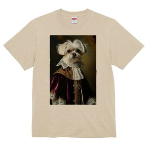 }`[Y TVc fB[X t@  t  vg JWA 킢 lԗp h ̃fUC ʔ ё }`[Y M ߑ [X