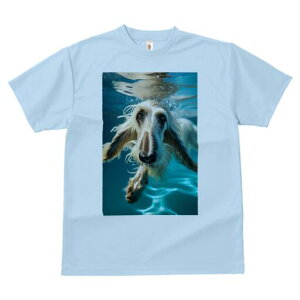 AtKnEh TVc fB[X t@  t  vg JWA 킢 lԗp h ̃fUC ʔ  AtKnEh 