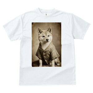 Č TVc fB[X t@  t  vg JWA 킢 lԗp h ̃fUC ʔ g Č Be[W 