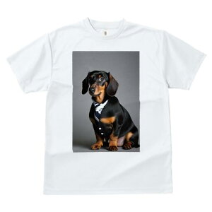 _bNXth TVc fB[X t@  t  vg JWA 킢 lԗp h ̃fUC ʔ lN^C _bNXth X[c