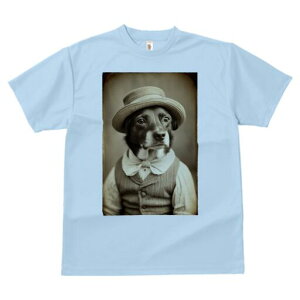 {[_[R[ TVc fB[X t@  t  vg JWA 킢 lԗp h ̃fUC ʔ Xq {[_[R[ xXg lN^C 