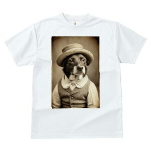 {[_[R[ TVc fB[X t@  t  vg JWA 킢 lԗp h ̃fUC ʔ Xq {[_[R[ xXg lN^C 