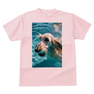 AtKnEh TVc fB[X t@  t  vg JWA 킢 lԗp h ̃fUC ʔ  AtKnEh j v[