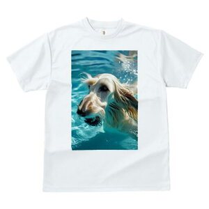 AtKnEh TVc fB[X t@  t  vg JWA 킢 lԗp h ̃fUC ʔ  AtKnEh j v[