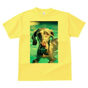 C}i[ TVc fB[X t@  t  vg JWA 킢 lԗp h ̃fUC ʔ  C}i[ v[